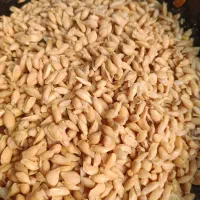 تخم نارنج تمیز تمیز شسته شده