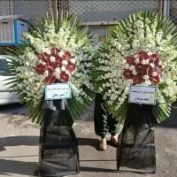 تاج گل درباری تبریک و ختمی در بازار گل امام رضا|گل و گیاه طبیعی|ری, بازار گل خاوران|دیوار