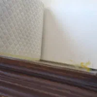 آینه|آینه|پردیس, فاز ۱۱|دیوار