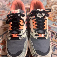 zx 8000زد ایکس