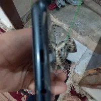 گوشی a22   5G   فروشی و معامله با مانیتور یاگوشی|موبایل|دامن, |دیوار