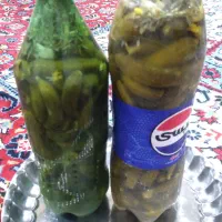 خیار. شور