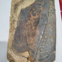 کتاب قدیمی دوره قاجار