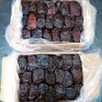 خرمای کبکاب درجه یک