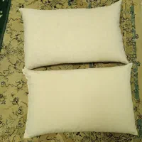 بالشت پر نو