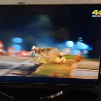 تلویزیون 50 اینچ شارپ|تلویزیون و پروژکتور|ساوه, |دیوار