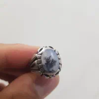 انگشتر شجر تک درخت قائنات