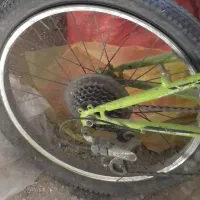 دوعدد دوچرخه سالم