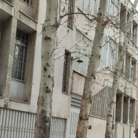 533 متر مشارکت کامل