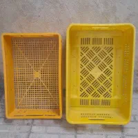 مخصوص مواد غذایی و میوه