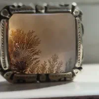 انگشتر شجر برگ سوزنی قائن