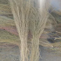 جارو (گزگه باخی )|خدمات باغبانی و درختکاری|جوانرود, |دیوار