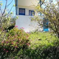 فروش-یک-قطعه-زمین