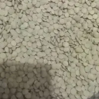 عدس نژی تمیز زمین آبی یک دست