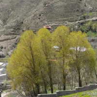 فروش ۴۰۰ متر زمین در ابگرم|فروش زمین و ملک کلنگی|رینه, |دیوار