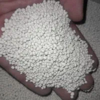خاک گربه