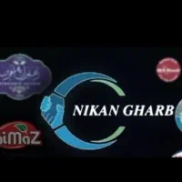 ویزیتور ، بازاریاب حضوری و تلفنی