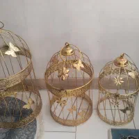 قفس بله برون سالم