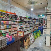 شهر پرنده اسدی