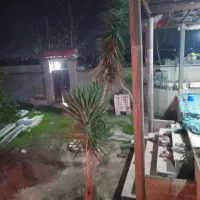 گل یوکا|گل و گیاه طبیعی|خمام, |دیوار