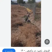 زمین ۲۰۰۰۰ متر در اربطان مرند