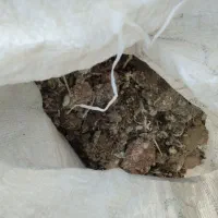 کبوترکودش|گل و گیاه طبیعی|زنجان, |دیوار