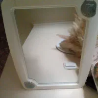 آینه بزرگ سرویس بهداشتی