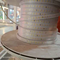 شیلن نوری  مودی نویگیت