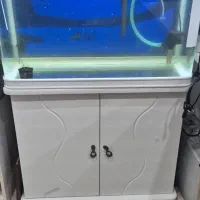 فروش اکواریوم|ماهی|امیدیه, |دیوار