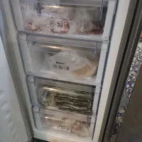 یخچال دوقلو دیپوینت مدل مکس|یخچال و فریزر|مشهد, نوید|دیوار