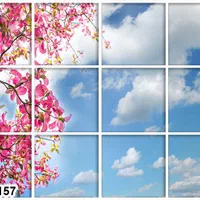 تایل آسمان مجازی|مصالح و تجهیزات ساختمان|شیراز, زند|دیوار