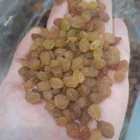 کشمش پلویی درجه ۱