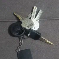 پیداشده