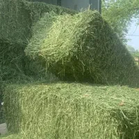 بسته یونجه