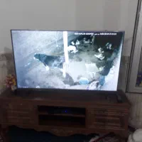 دوربین وارم لایت|دوربین مداربسته|خوی, |دیوار