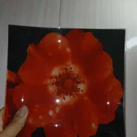 ست دیس وپیش دستی گل قرمز