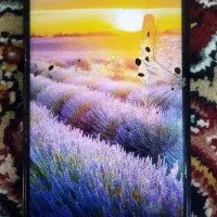 گوشی هواوی y9 2019