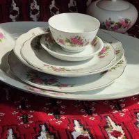 جذاب و زیبا مثل گلسرخی