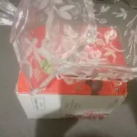 شکلات خوری سوگا