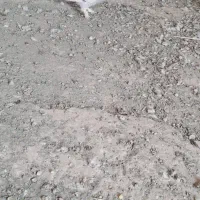 ماده سبز ترک  کلافه