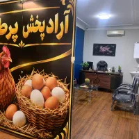 کارمند خانم