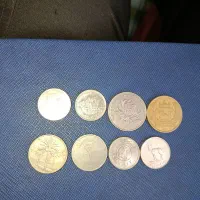 سکه|کلکسیون سکه، تمبر، اسکناس|میبد, |دیوار