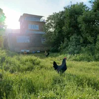 ویلا باغ سویت|اجارهٔ کوتاه‌مدت ویلا و باغ|مریوان, |دیوار