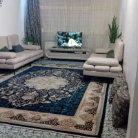 فرش۱۲ متری ۷۰۰ شانه در حد نو