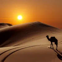 پارتنر جهت تور کویر