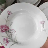 سرویس کمیاب و زیبای گل میخک|ظروف سرو و پذیرایی|ری, حمزه‌آباد|دیوار