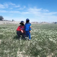 زمین ۱۹۳ متری امام خمینی جنوبی