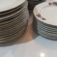 گل سرخی اصل ژاپن|ظروف سرو و پذیرایی|لاهیجان, رجایی|دیوار