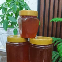 عسل کوههای زاگرس