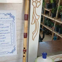 نی مروتی